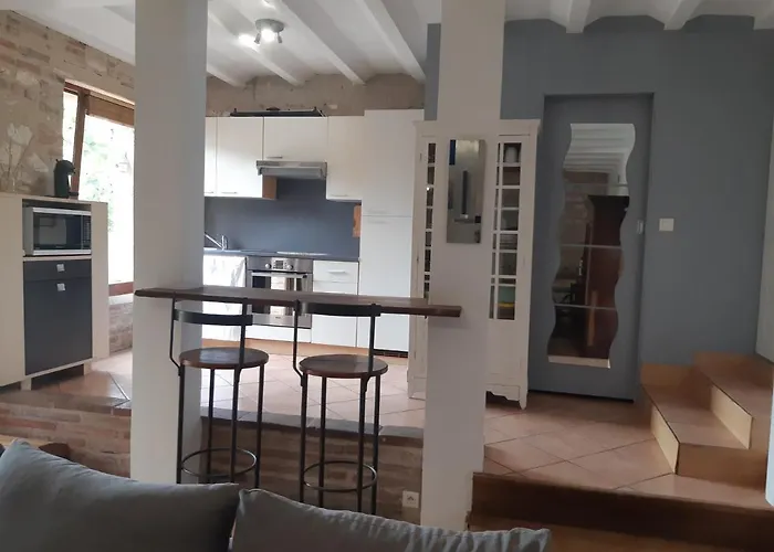 Vue Sur La Riviere. * Albi