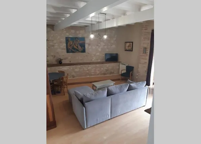 Vue Sur La Riviere. Albi