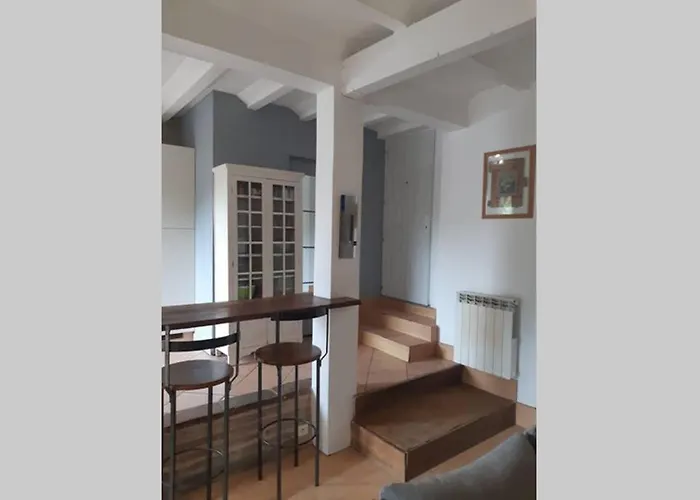 Vue Sur La Riviere. * Albi