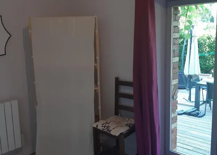 Vue Sur La Riviere. * Albi