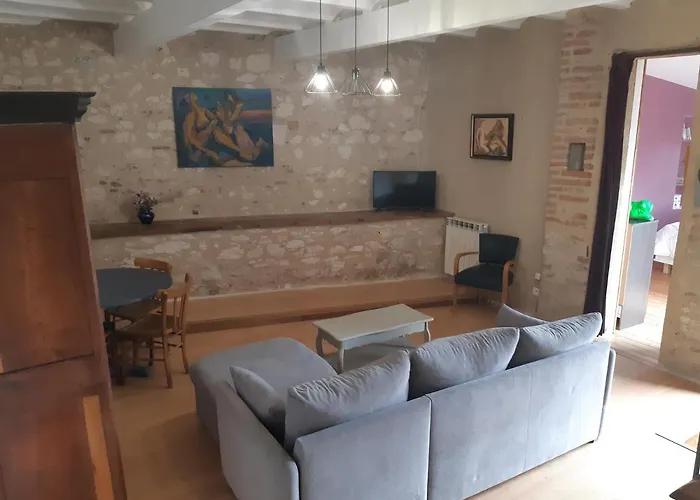 Vue Sur La Riviere. Albi