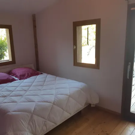 Vue Sur La Riviere. Appartement Albi