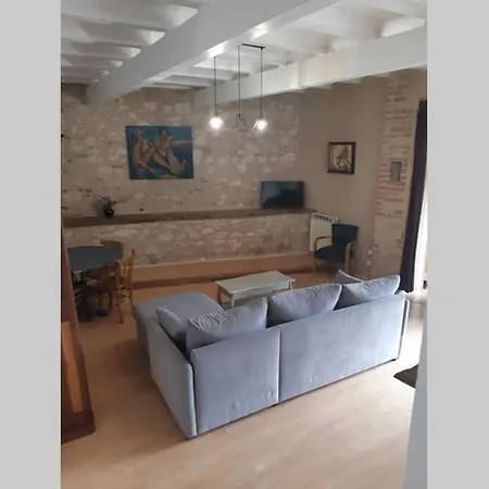 Vue Sur La Riviere. Albi